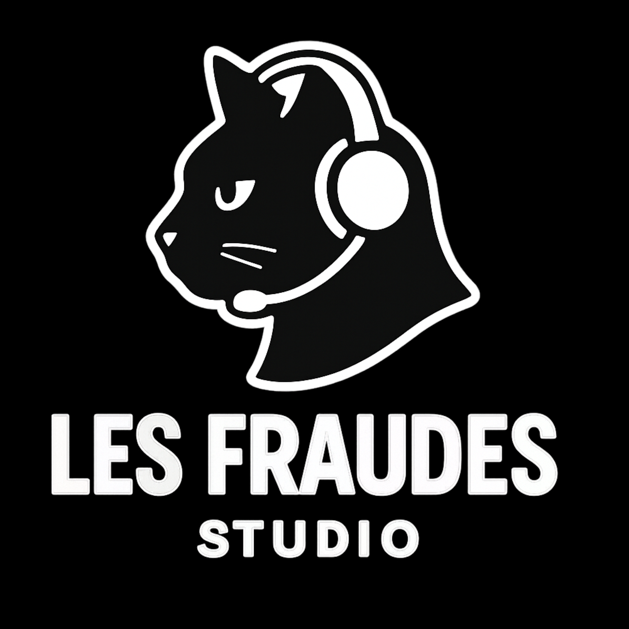 fraudes image
